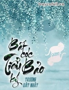 Bắt Cóc Tiểu Bảo Ký