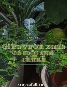 Giữa Vườn Xanh Có Một Quả Chanh