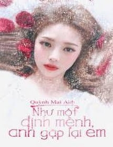 Như Một Định Mệnh, Anh Gặp Lại Em