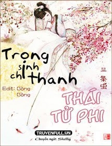 Trọng Sinh Chi Thanh Thái Tử Phi