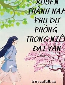 Xuyên Thành Nam Phụ Dự Phòng Trong Niên Đại Văn